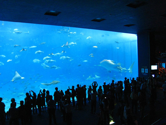 世界最大のパネル<br />人間との差で大きさが分かるかな〜？？