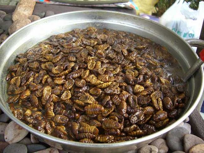 なんだと思いますか？<br /><br /><br />市場などでもよく売っている「サナギ」です。<br />注文すると紙コップに入れて出てくるらしいのですが・・・<br />ちょっと注文する勇気はありませんでした＾＾；<br /><br /><br />■Photolibrary<br />http://www.photolibrary.jp/img61/69_185884.html