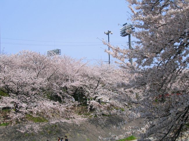 瑞穂運動場の照明<br /><br />