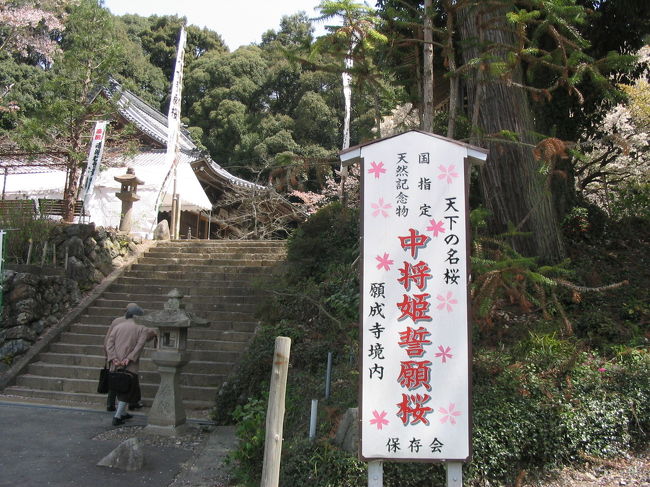 2006-4-17岐阜市大洞<br /><br />ちょっと解かり辛い場所でした。<br />駐車場は狭いです。