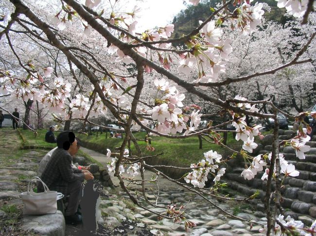 派手さは少ないですが、山間のホノボノ風景に癒されます。<br />手ぶらで行っても大丈夫です。<br />無料Pあり。