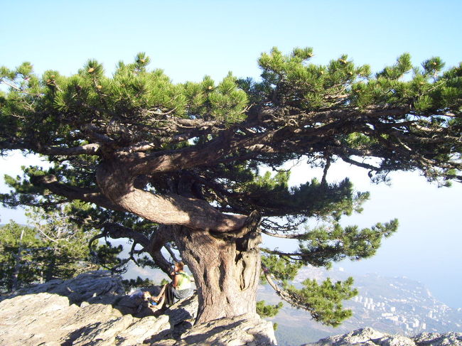 クリミアの山頂で