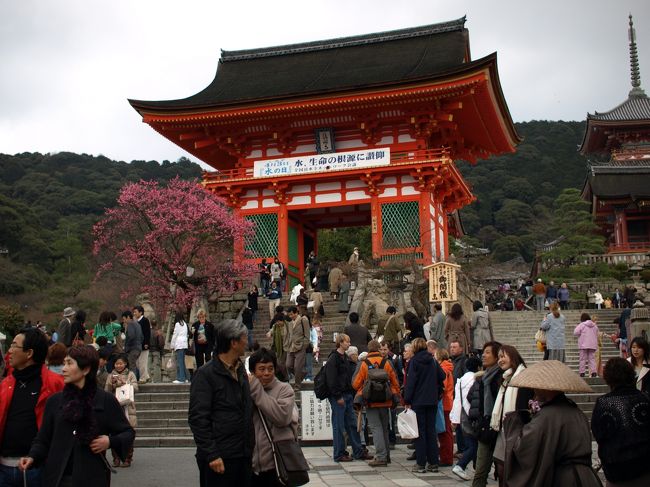 せっかくここまできたので、清水寺にも
