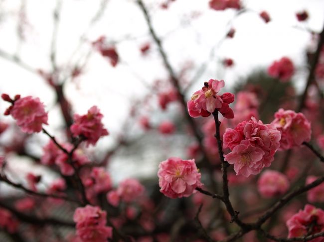 いい季節にきました（＾＾