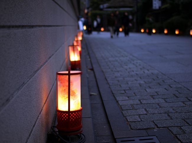 京都・東山花灯路というイベントがたまたまやっていました。<br />あらゆるところに、灯篭がならんでる。<br />なかなか京都ぽくてきれいです