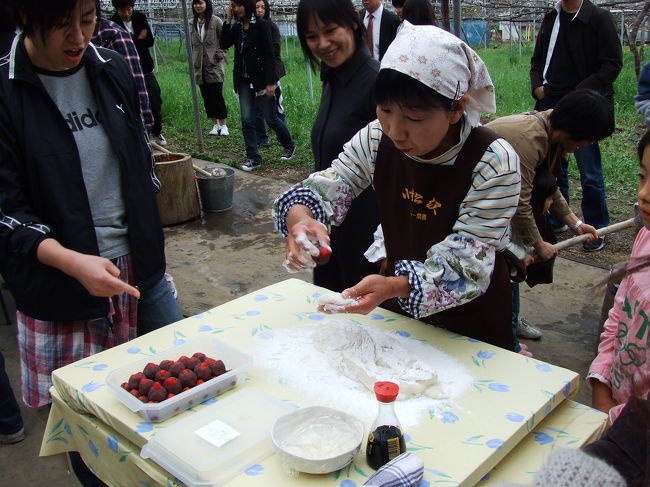 餅つきの後は、イチゴ大福作り♪<br />おばちゃんが１人分づつ餅をきってくれるので、あんこ付きイチゴを包んで丸めます。<br />美味しかった！！