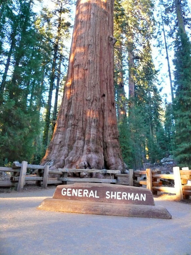 Sequoia Kings Canyonへ セコイア キングスキャニオン国立公園周辺 アメリカ の旅行記 ブログ By じゅじゅさん フォートラベル Sequoia Kings Canyonへ セコイア キングスキャニオン国立公園周辺 アメリカ の旅行記 ブログ By じゅじゅさん フォートラベル
