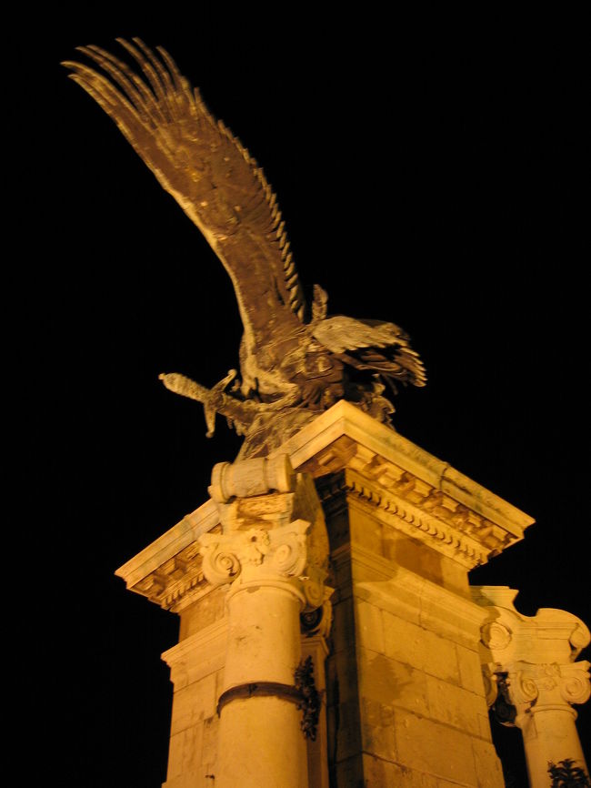 私の大好きな怪鳥、トゥルルとも1年振りの再会です。<br />さすがに怖くて、これ以上は近づけませんでした(汗)