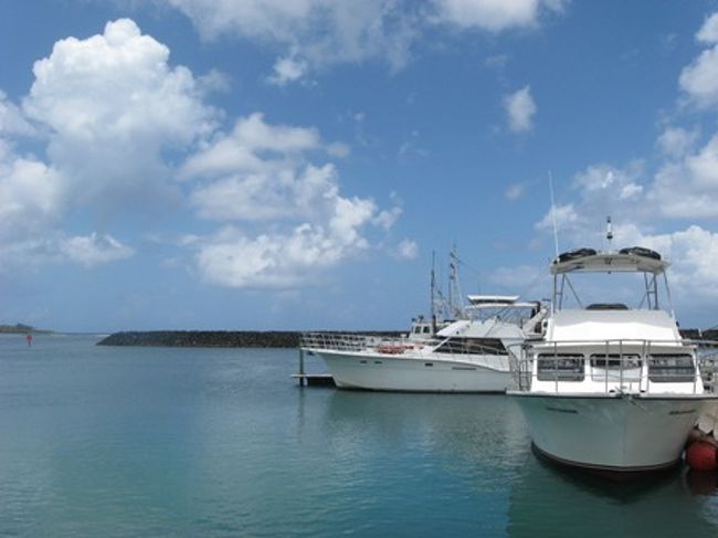 【4日目】<br />今日は念願のイルカウォッチングツアーへ！<br /><br />6:30　起床。朝マックをtogoして部屋で朝食。<br />7:50　ピックアップ<br />この旅でバスが大好きになった息子、送迎のバンに大興奮。イルカより喜んでた…。(凹)<br /><br />***<br /><br />イルカウォッチング＆シュノーケリングツアー(アランワンから予約)<br />ドリンク・お弁当、シュノーケルセットレンタルがついて＄65。(拘束4時間半)