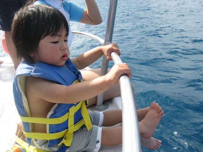 嘘みたいに青い海の色に涙が出そうになりました。<br />あんにょんは、ライフジャケットを着るのがイヤで涙してましたが。<br /><br />肝心のイルカというと、たくさん見る事はできたのですがー、ちと遠かったです。<br />運がよければ船の近くまで来てくれるんだろうけど。<br />まあ、こればかりはイルカ様の気分次第なので、仕方ないっすね。<br /><br />途中のシュノーケリングは最高でした。<br />珊瑚イパーイ。魚イパーイ。ワーイ。<br /><br />うちの王子様はというと、サカナ好きで乗り物好きなので、きっと喜んでくれるだろうと思っていたのですが、<br />それほどでもありませんでした。いやん。<br />でもオトナは大喜びの大満足ツアーでございましたよ。