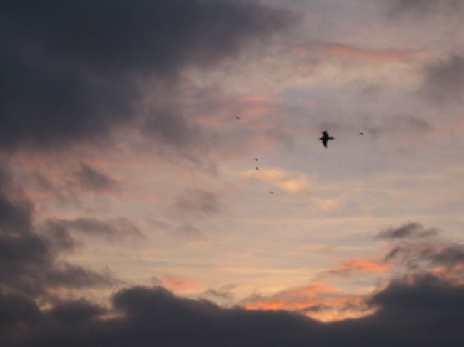 赤い空と灰色の厚い雲、、、その間を鳥が飛び交い、、、不思議な、でもとてもステキなコントラストです。<br /><br />この辺りだけ時が止まったような、そんな空気が流れてました。