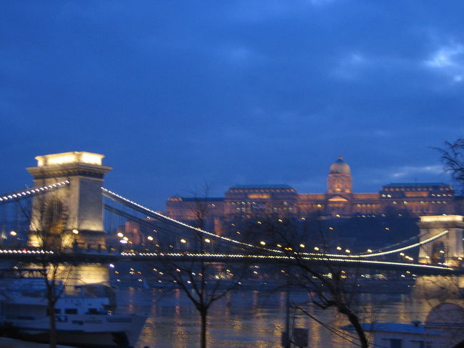 残念ながら夕暮れショータイムは、終ってしまいました。<br /><br />今度はくさり橋がライトアップされる瞬間を見張っていたのですが、諦めて背中を向けた直後、振り返ってたら既に点灯されていた！！！<br /><br />なんとも、タイミング悪し〜！！！