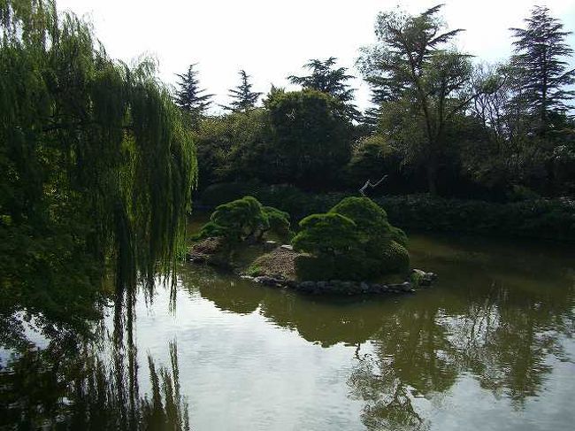 柳の木<br /><br /><br />さっきの池を反対側から見た景色です。<br />韓国にも結構いろいろなところに柳があるんですね。<br /><br /><br />■Photolibrary<br />http://www.photolibrary.jp/img61/69_186642.html