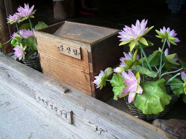 大雄殿の賽銭箱<br /><br /><br />大雄殿の前に置いてあった賽銭箱です。<br />韓国にも日本と同じような賽銭のシステムがあるんですね。