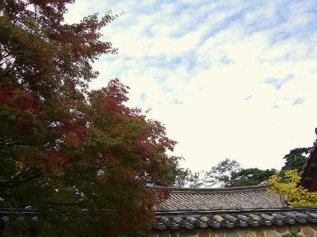 初秋<br /><br /><br />日中はまだ暑いのですが、ちょっと色づいた木と、雲の形が初秋を思わせます。<br /><br /><br />■Photolibrary<br />http://www.photolibrary.jp/img61/69_189006.html