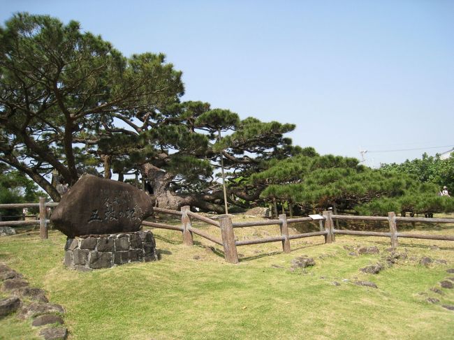 ホタルの観賞スポット。夜来たときにはぜんぜん気がつかなかった有名な「五枝の松」。