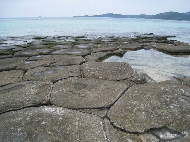 畳石。表面が亀甲のような不思議な石畳。