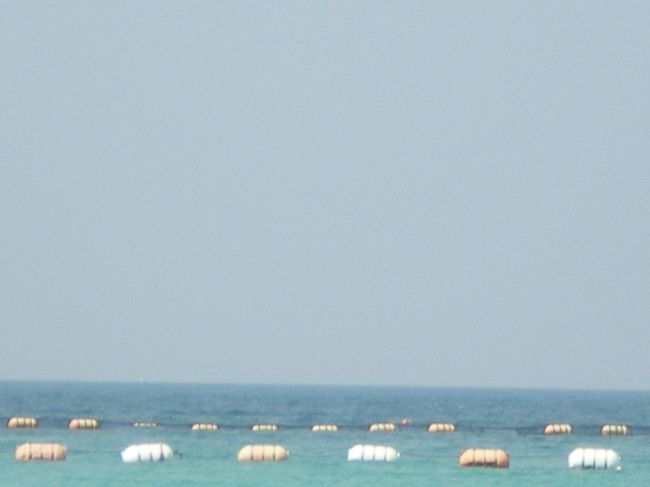 海には、鮫よけのネットがあるようです。