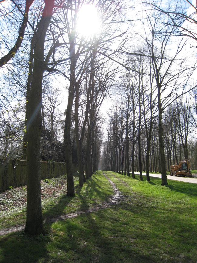 宮殿の中よりも、外の方が断然良いなあ