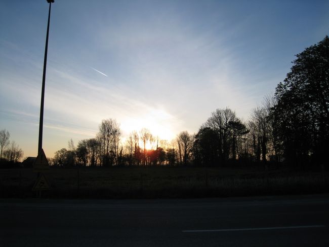 だいぶ、日ものぼってきた。