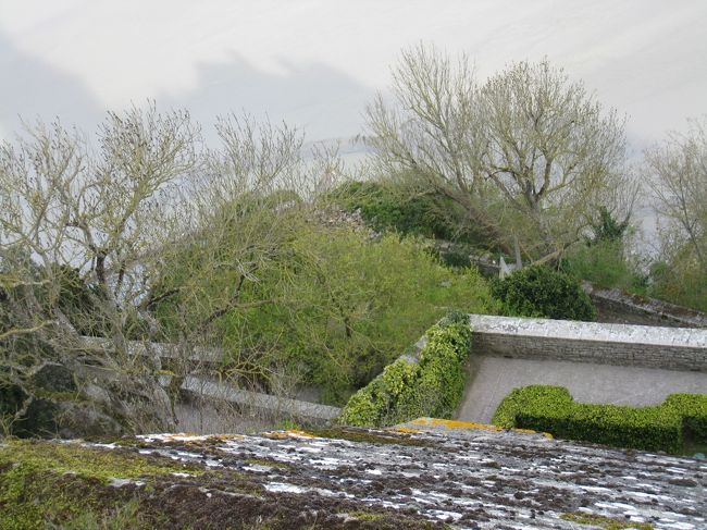 下も覗き込んでみる。