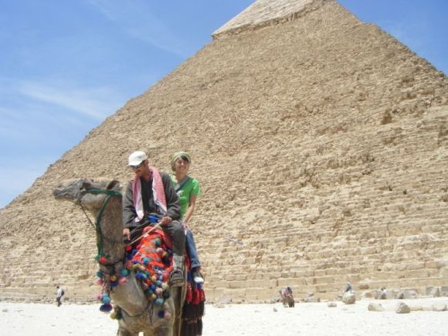 もちろん乗りましたよ♪