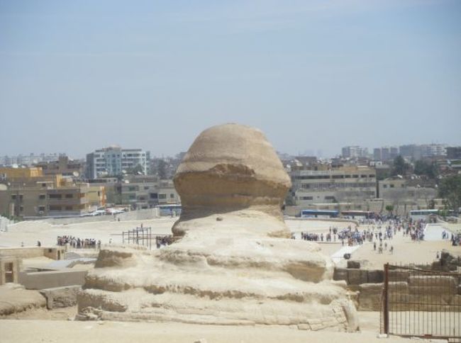 これ何かわかります？