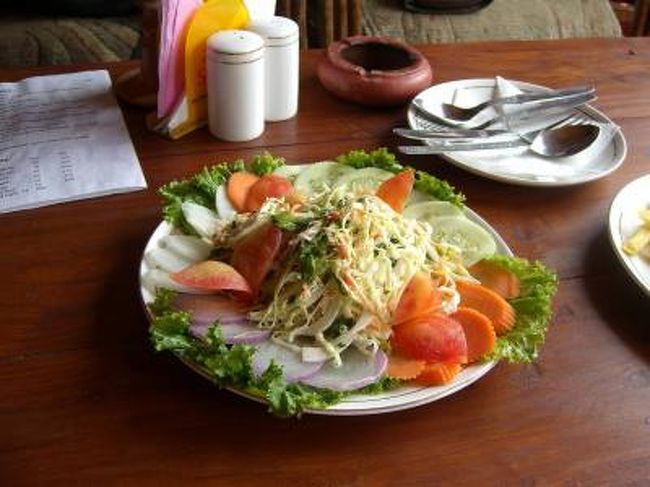 これ、グリーンサラダ<br />周りには、にんじん･紫たまねぎ・ダイコン・キュウリ