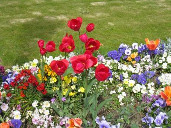 お花もキレイに手入れされています。