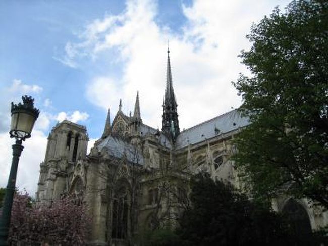 右側うしろのあたり。