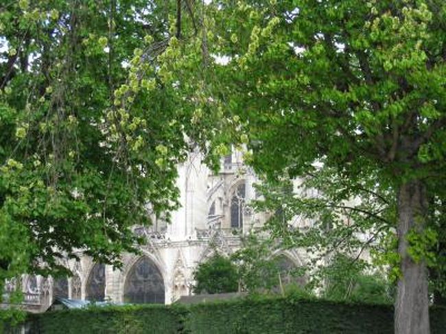 うしろのあたりです。