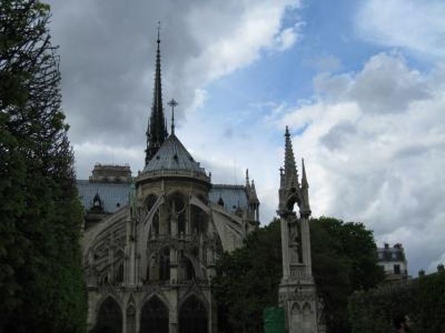 木立ちを抜けて、うしろのあたりです。