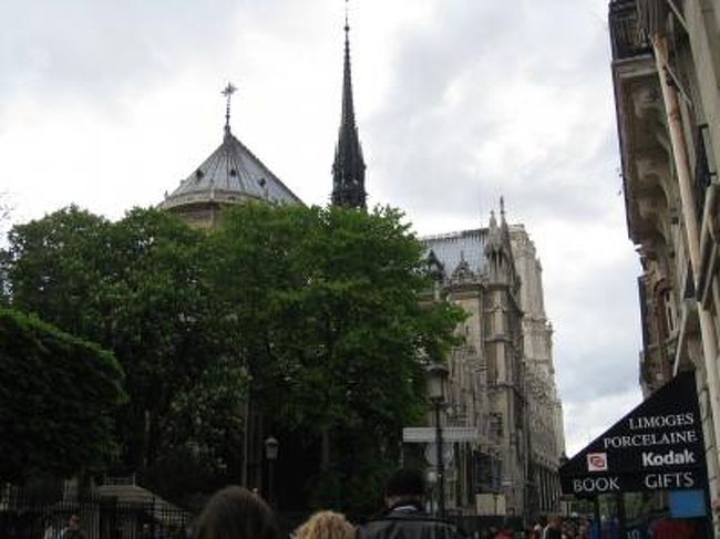 左側うしろのあたりです。