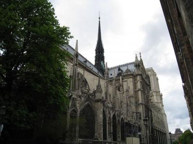 まだ、左側うしろのあたりです。