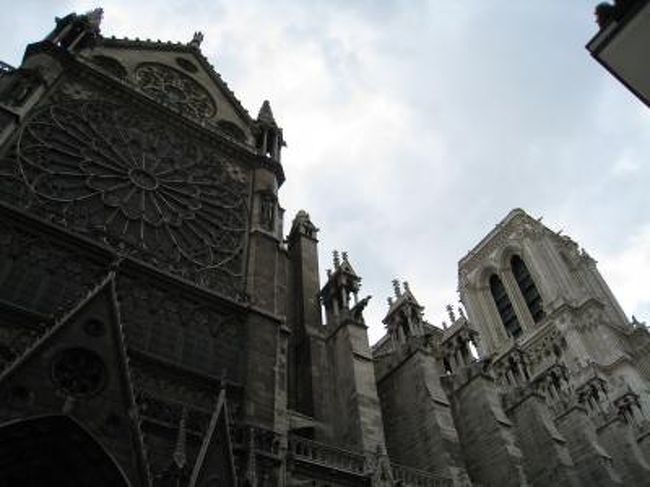 左側真ん中のあたりです。<br /><br />さて、ノートルダム寺院を１周したあとは、カールージュ（市内循環バス）のコースを１周することにしました。