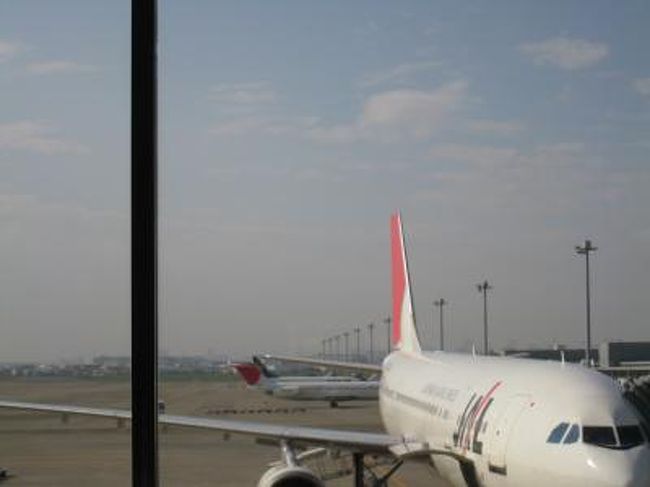 さて、さらに日が変わりまして、成田到着後、羽田に移動し、ここから関空へ帰ります。<br /><br />羽田では２時間くらい椅子で寝てました。<br />そのせいか、あまり時差ボケはしませんでした。<br /><br /><br />今回のフランス旅行、短かったけど、お目当てのものもたくさん見れて大満足でした。<br />また、いつか行ってやろうと思います。?ｄ（ゝ∀・）