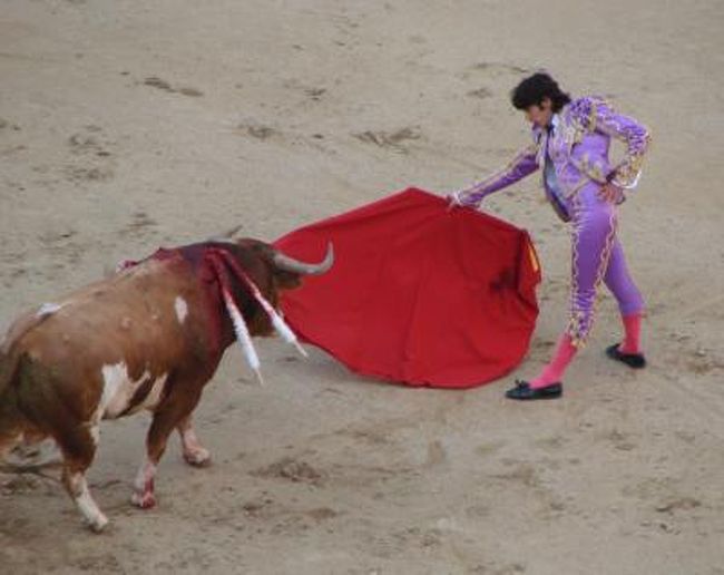 Tarde De Toros Corrida Goyesca 闘牛の夕べ ゴジェスカ闘牛 マドリード スペイン の旅行記 ブログ By Milfloresさん フォートラベル