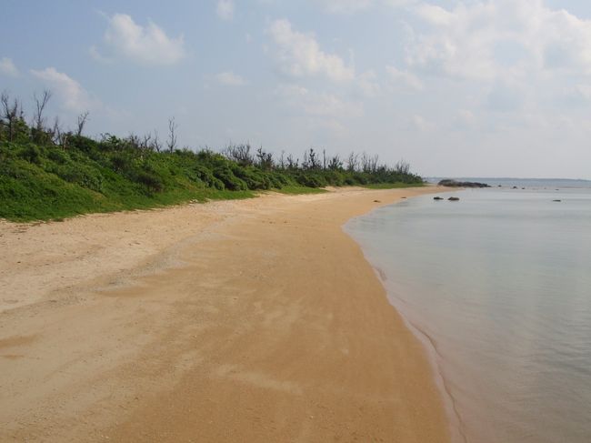 天気が良く波もおだやかなビーチ。