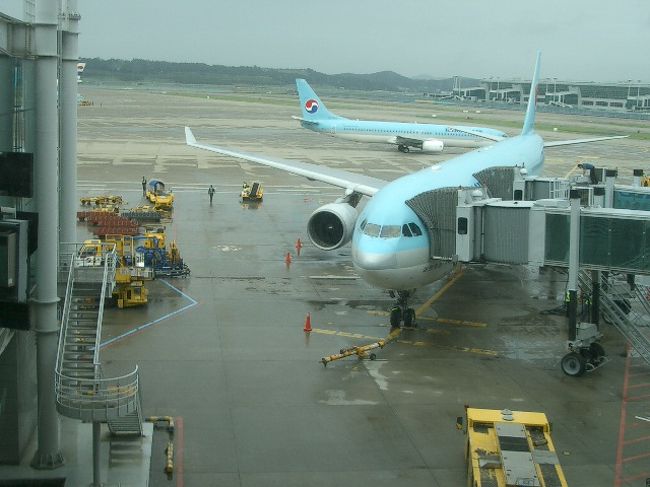 翌朝。<br />帰国の日！<br /><br />「雨だ・・」<br />「雨だね」<br /><br />異常気象でしょうか？<br />かんかん照りだった東京と対照的に、ソウルは前線が停滞しているもよう。<br /><br />いや、ソウルというより朝鮮半島全体のお天気が崩れています。<br />北朝鮮のほうでも洪水が起きているみたい。<br />連日決壊した堤から、近隣の家々に水が流れ込み、深刻な状態であることが伝えられています。<br /><br />きのうは、夕方まで天気もってたし、いけるかなーと思ったけど、こりゃタクシー頼まなきゃだね。<br /><br />「あさご飯は空港着いてからの食べようね」<br />「お母さん、それよかタクシー呼ばなくちゃ」<br /><br />メシのタイムテーブルだけは心得た母上とやりあっていると・・。<br /><br />「アンニョンハセヨ。おはようございます」<br /><br />「あ、ども。アンニョンハセヨー」「アンニョンハセヨ〜」<br /><br />ホテルについた日、友人に頼まれてビジネス日本文翻訳に頭を抱えていたフロントマンさんが、声をかけてくれます。<br />そうだ、いいところで会った。<br /><br />「あのー、スイマセン。明洞の空港バス乗り場まで行きたいんですけど、タクシーって呼んでもらう事できますか？」<br />「それなら、ホテルの者に送らせますよ」<br />「えっ！ホントに？いいんですか」<br />「もう行かれますか？」<br />「ハイっ！」<br /><br />らっきー。<br /><br />ホテルマンさんの手配で、ミニヴァンに乗っけてもらい、昨日の空港行きバス停へ。<br /><br />着いたな、と思ったらジャストでバスが目の前に停まります。<br /><br />「カムサハムニダ！来てるよ、お母さん！」<br />「カムサハムニダー！」<br /><br />ヴァンを飛び出し、エアポートバスに滑り込みます。<br />セーフ・・！<br /><br />なんだか、あわただしい出発になりましたが、全然早い時間で仁川国際空港へ到着。<br /><br />いつの間にか、雨もやんでいます。<br /><br /><br />