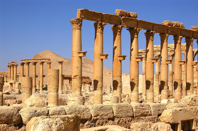 世界遺産Palmyra遺跡 1列柱道路』パルミラ(シリア)の旅行記