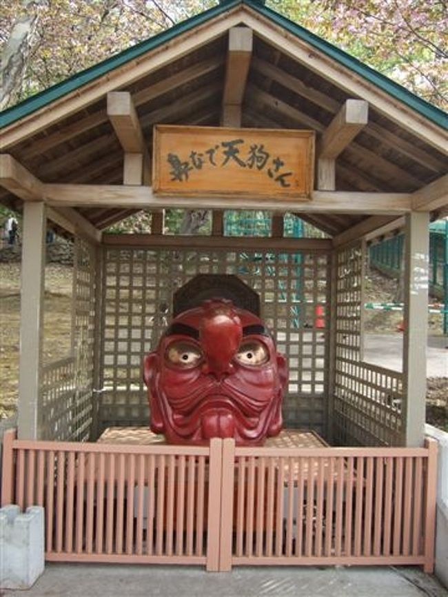 天狗山<br /><br />鼻なで天狗さん