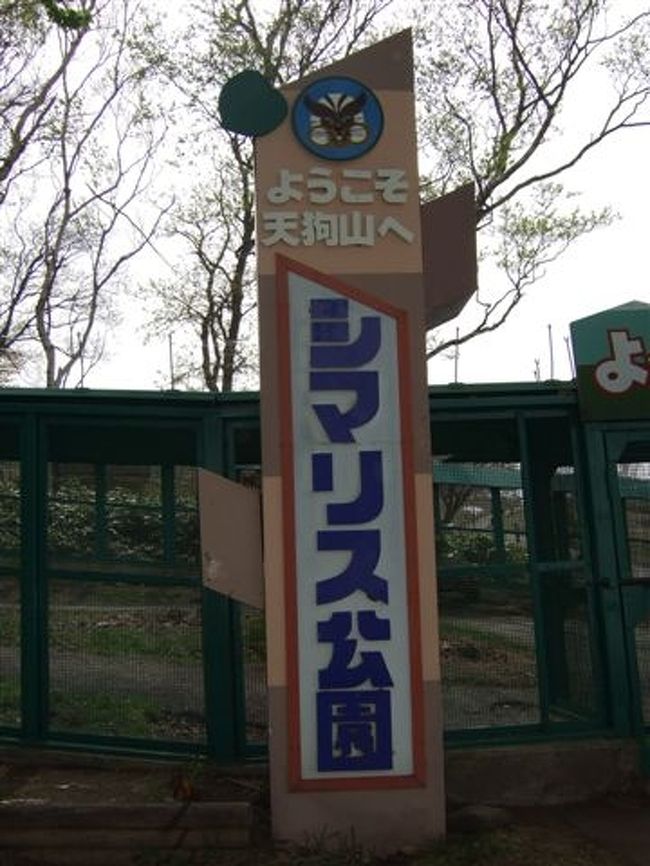 天狗山<br /><br />シマリス公園もありました。<br />シマリスは小さく、ちょこまか動くので見つけるのは大変ですが、かわいいです。