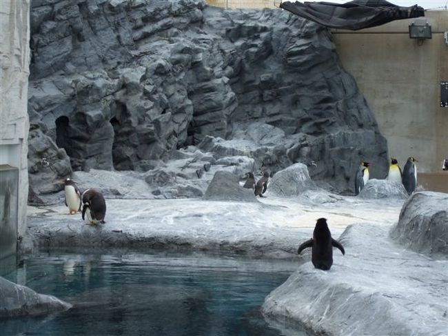 ペンギン館