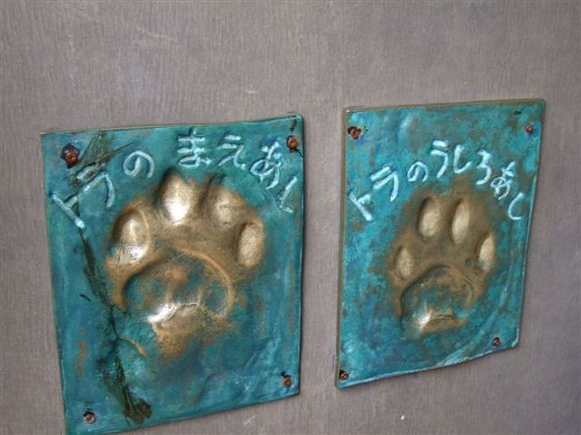 もうじゅう館<br /><br />トラの前足と後ろ足