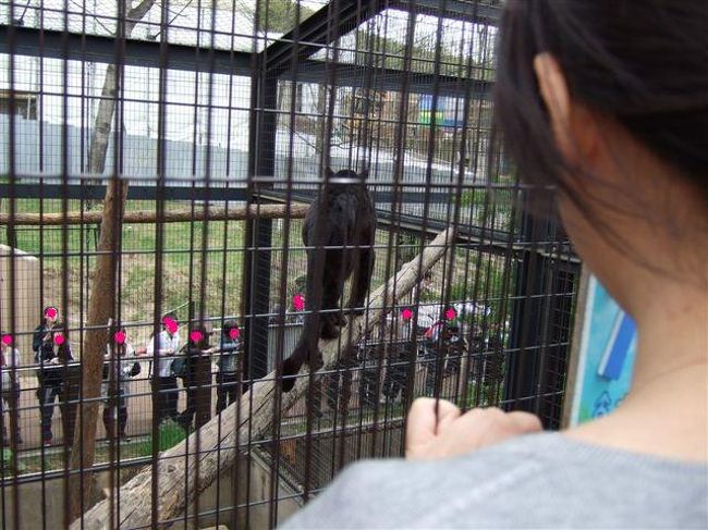 もうじゅう館<br /><br />黒ひょう<br /><br />2：向こうに歩いて行きます。