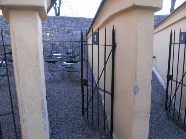 ところでこの写真を撮ったとき、午後８時過ぎくらいでした。本当に日が長いです。