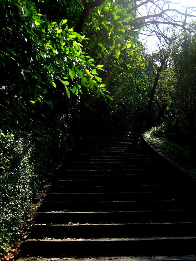 名護城跡です。<br />というか、階段です。