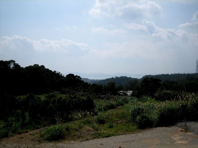 パークに併設されたカフェからの眺めです。<br />サンルームになっていて、明るくて広々です。