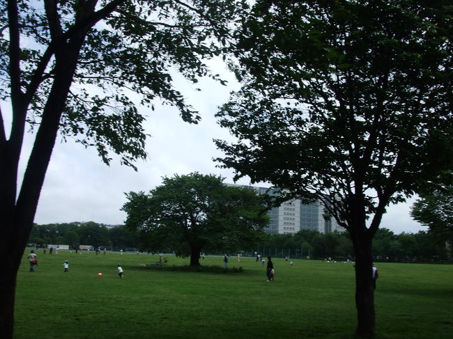 広い公園ですよね〜。<br />向こうに見えるのは、ＮＥＣのビルでした。