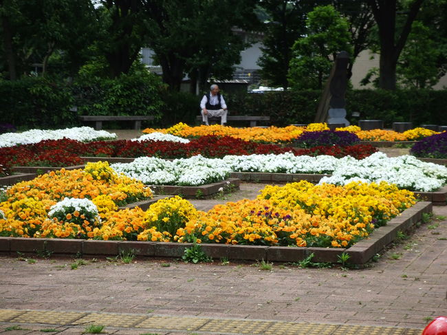 ハナミズキコースだったのに、ハナミズキはもう終わりかけてました（＾＾；）<br />でも他に花がたくさん咲いててキレイでした！